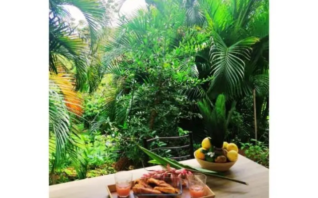 Villa tropicale charmant T2 dans un cadre verdoyant