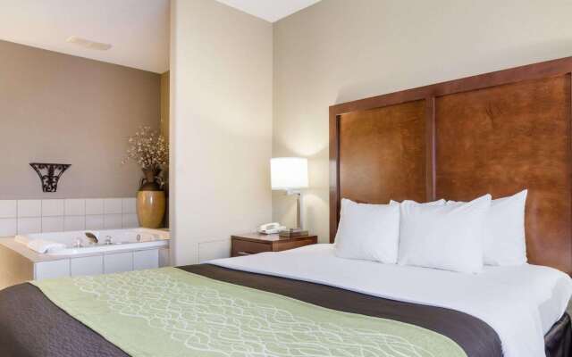 Comfort Inn Garden City