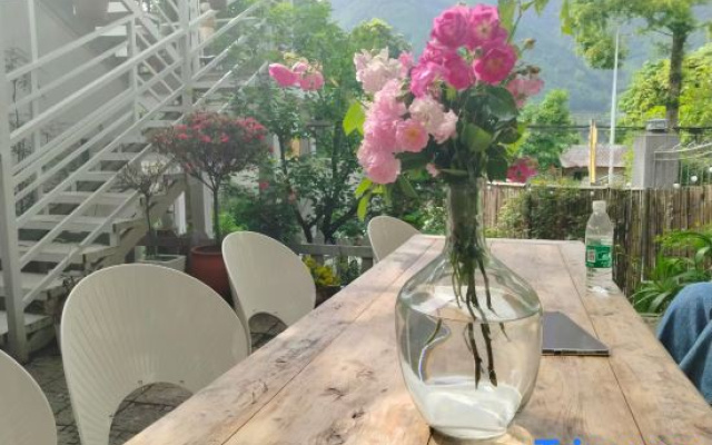 Yingying's yard