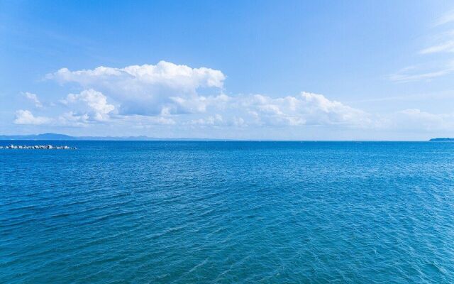 Oceanfront Villa Hale Kahakai