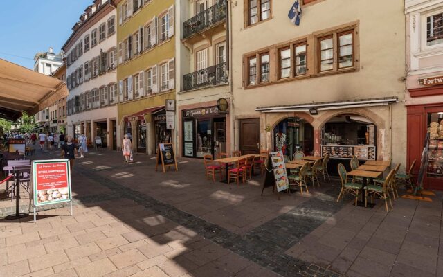 Charming Triplex for 6 - Strasbourg