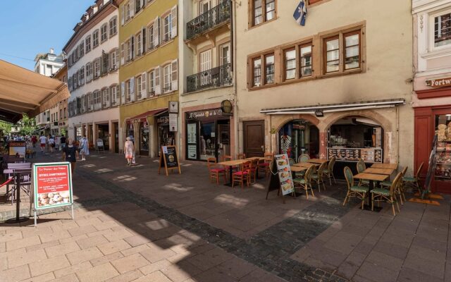 Charming Triplex For 6 Strasbourg