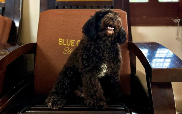 Blue Clouds Homestay