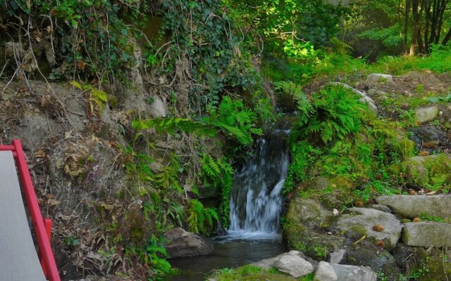Treehouse Quinta Lamosa