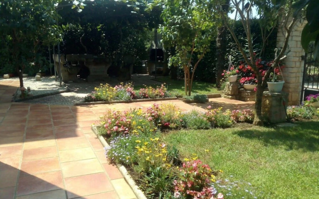 Leonard - Green Garden - A3 Vera