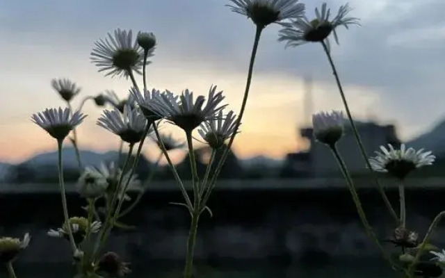 Runxu Homestay (Former Residence)