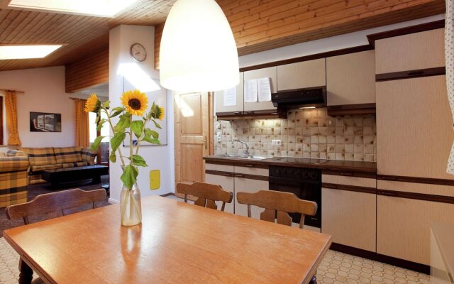 Charming Apartment in Kleinarl Austria Near Ski Area