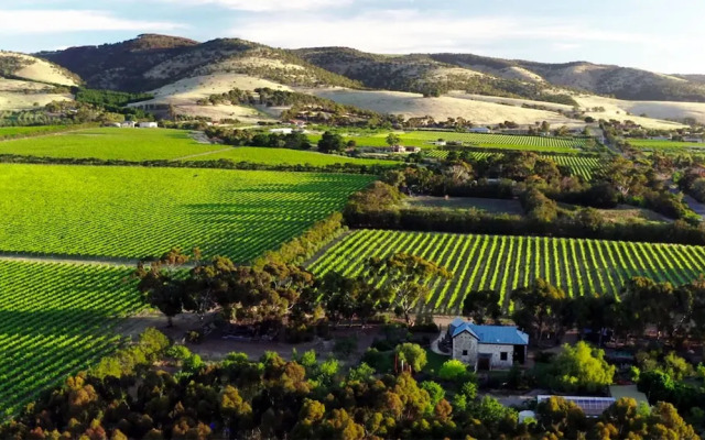 Old Chaff Mill Retreat - - luxury vineyard accommodation