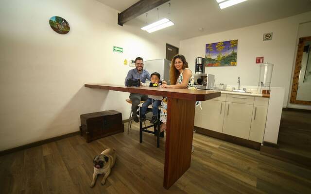 Collection O Casa Anzures Thematic, Mexico City