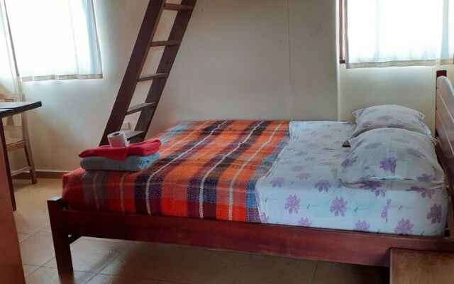 Andorina Hostal, Arte & Cultura