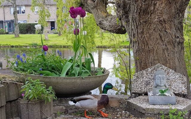 Laag Holland Bed en Breakfast