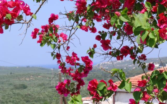 Fenareti Village House