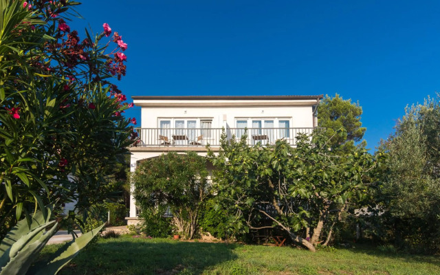 Studio Point of view