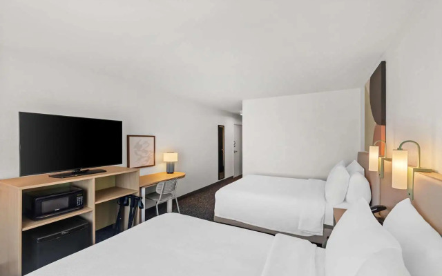 Spark by Hilton Killeen