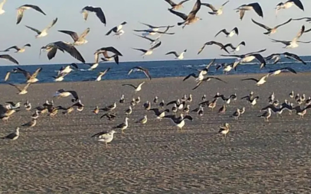 Apartamento en Isla Canela