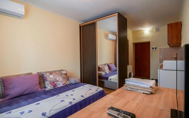 Смарт-студия на Гагарина возле Бот сада