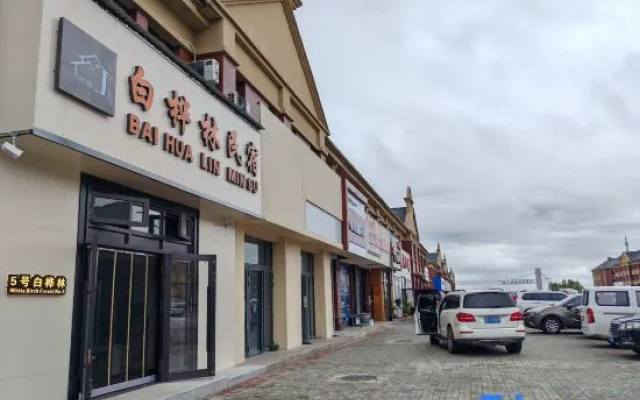 Hailar District No. 5 White Birch Forest Homestay (Hulunbuir Hailar Airport) — hotel in Hulunbuir