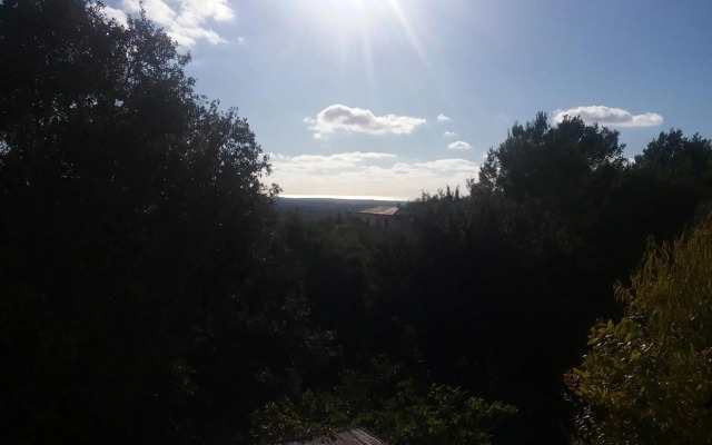 Ses Alzines Apartamento integrado en Casa Rural Habitada