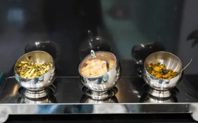 Shanghai Pudong Xiangguo Hotel (Huinan Metro Station)