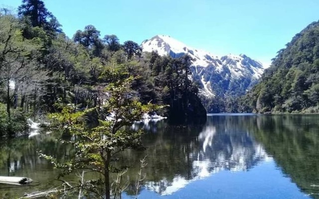Cabana 4 Personas En Hermoso Paisaje En Pucon
