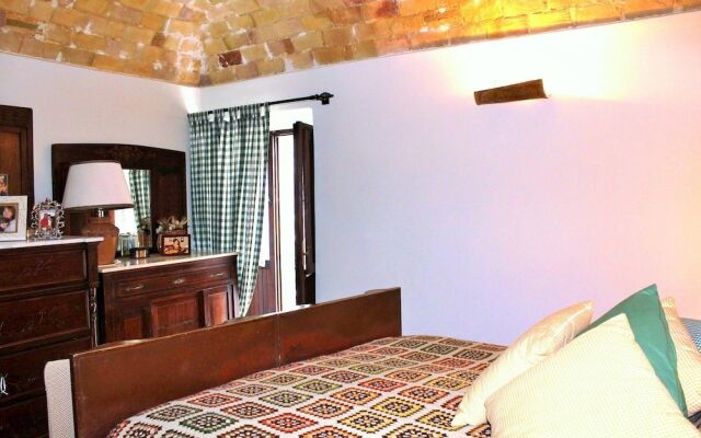 Orso - Parco Nazionale d'Abruzzo