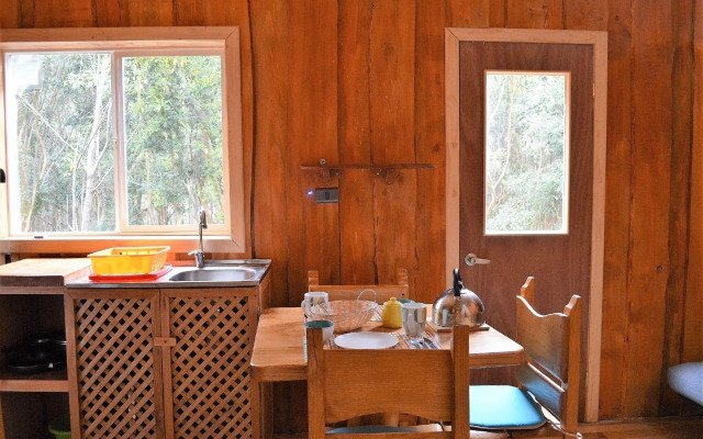 Cabañas Anulen Bosque Nativo