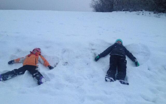 Apartamentos Panticosa