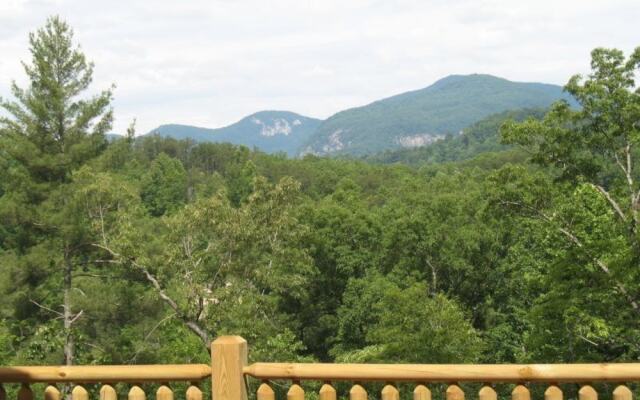 Gray Goose - Carolina Properties Vacation