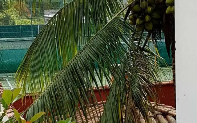 Pousada Casa no Tombo