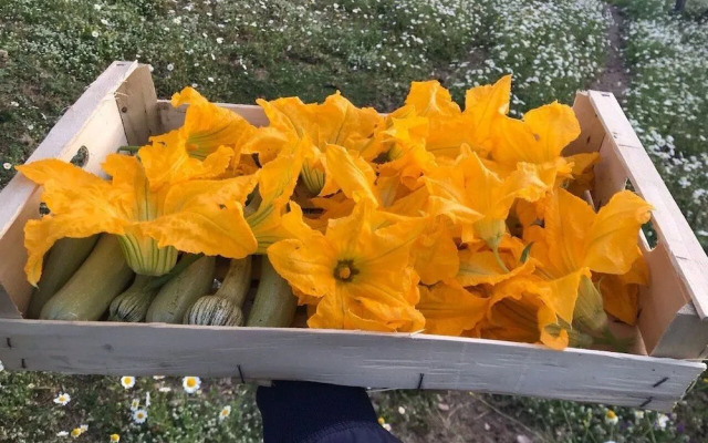 AHG Relais Agriturismo Pansera