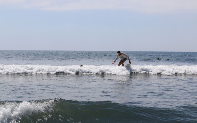 The Driftwood Surfer