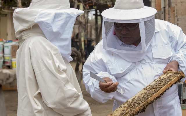 Ecolodge Huaca de Piedra