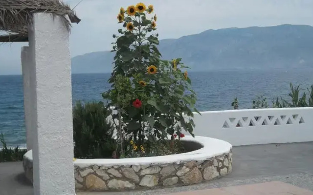 Kokalenia