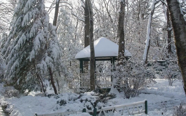 Влад Мотор Инн