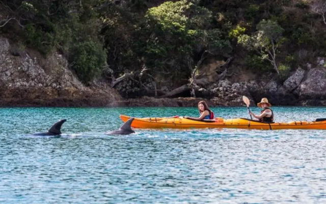 Waiheke Backpackers Hostel