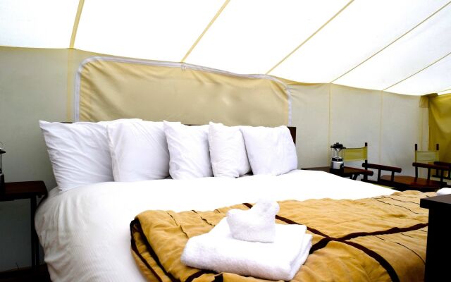 Under Canvas West Yellowstone