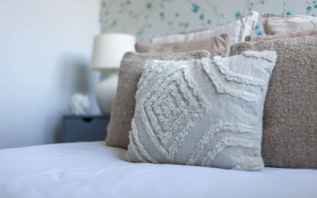 The South Hampstead Collection