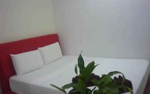 Hotel Paka INN