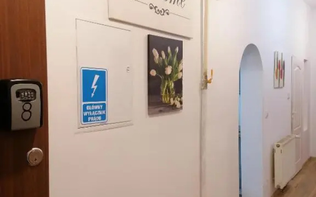 Hostel Tulip - Pokój 2 ze wspólną łazienką i kuchnią