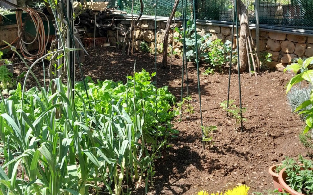 Apartments Marin Tomas