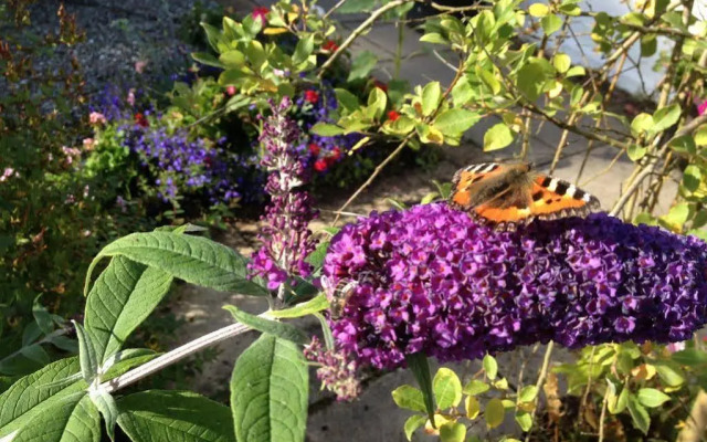 Shegarton Farm Cottages