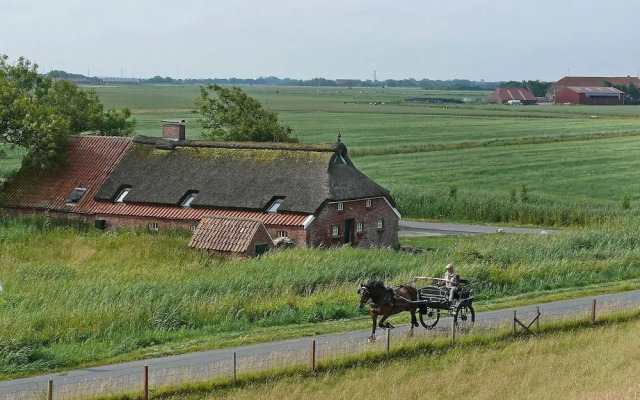 Itzendorfer Rott - Inh 27125