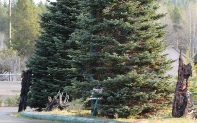 The Woodsman Country Lodge