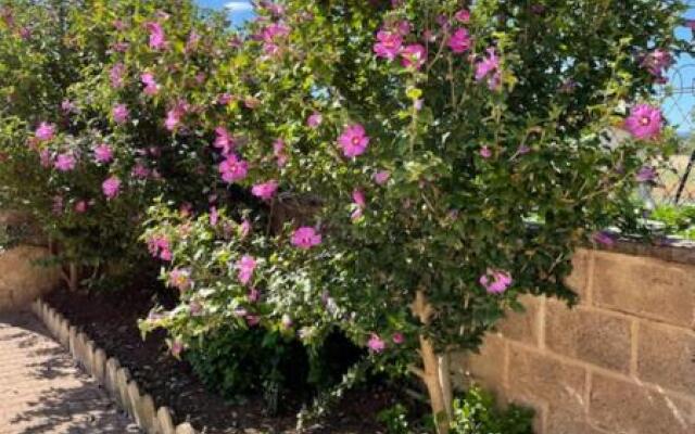 Gite Les 3 Eucalyptus