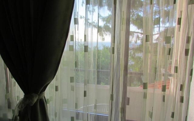 Guest House Dvata Bora