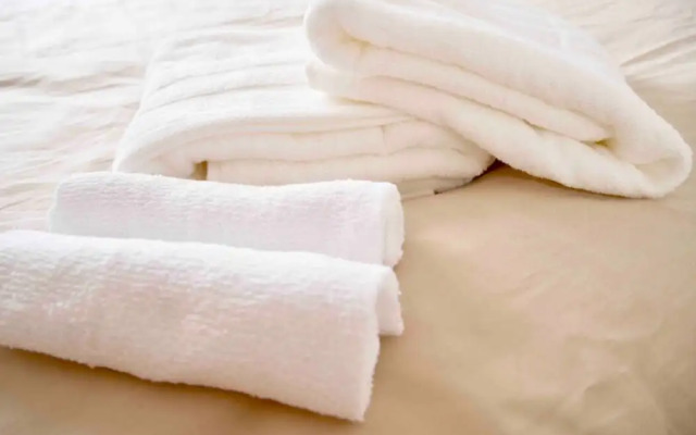 【NS】 NS Hights 205