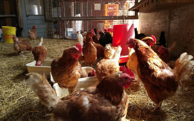 Chez Jacques et Chantale, B&B