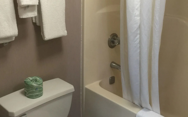 Quality Inn & Suites North