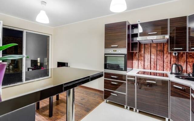 Penguin Apartments City Center Dmowskiego