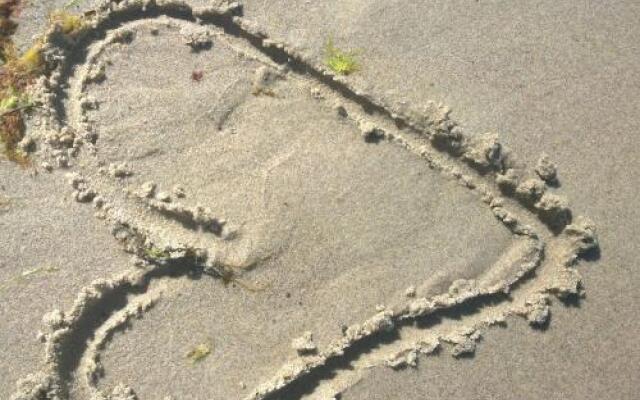 Ferienwohnung Strandhafer - nur 300m vom Meer